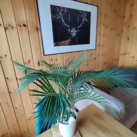 Superbe Au Centre De La Station * Nendaz