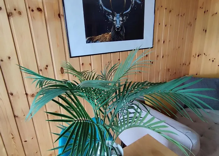 Superbe Au Centre De La Station * Nendaz